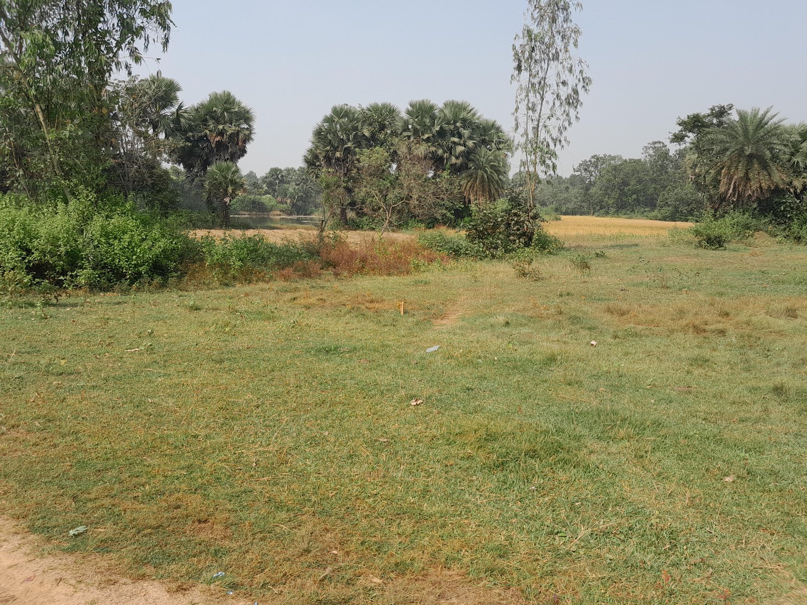 Mukutmanipur Dam, Bankura
