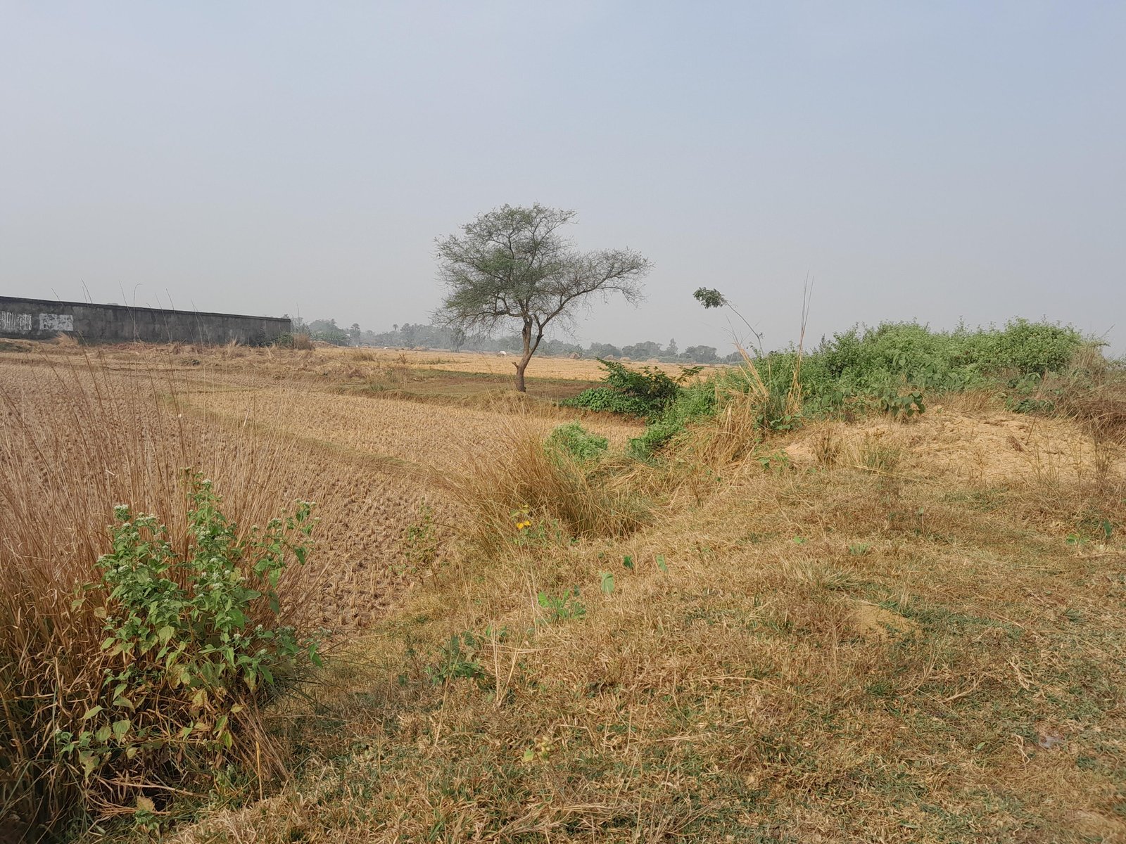 Nikunjapur, Bankura