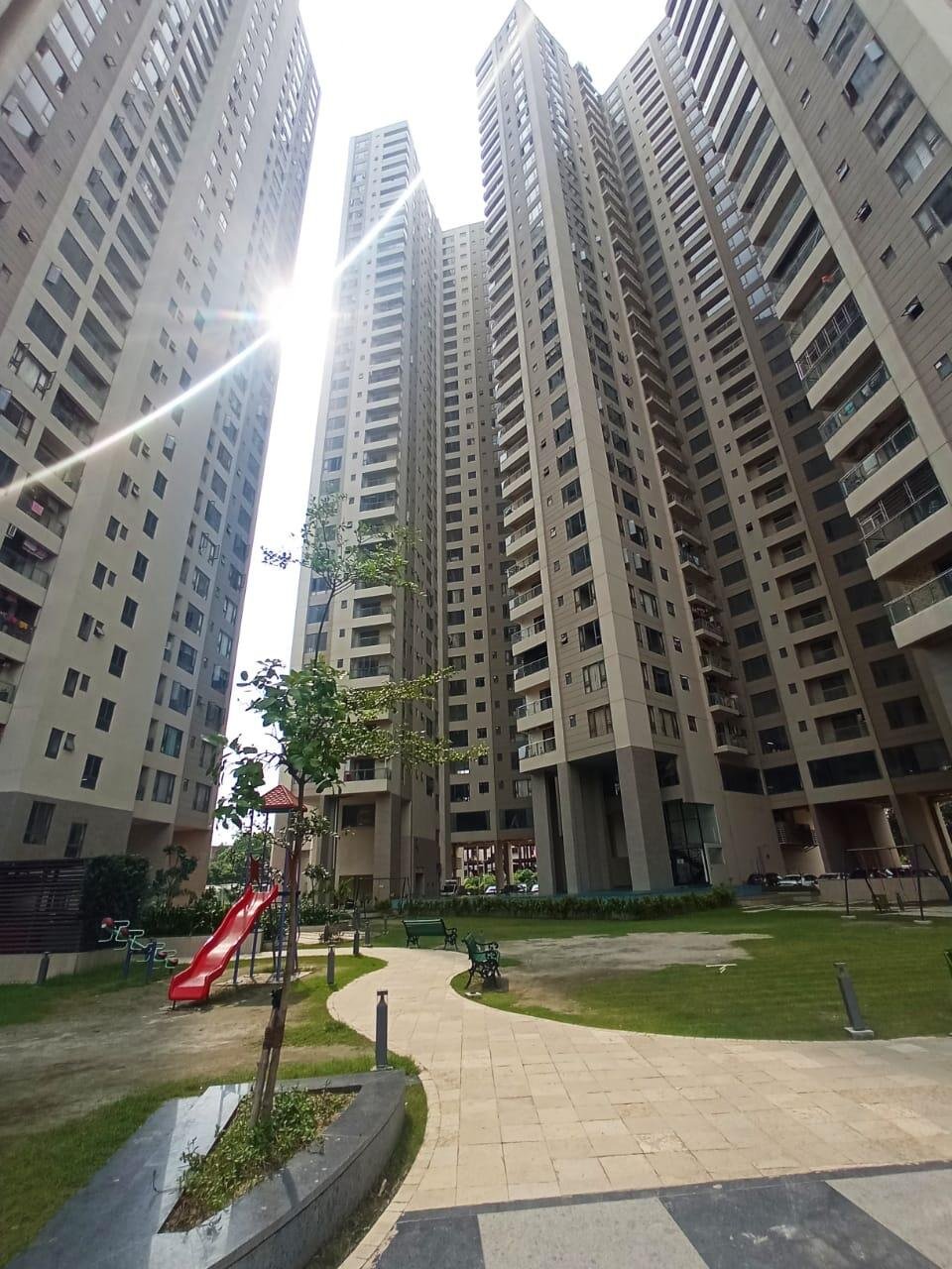 Prasad Rare Earth